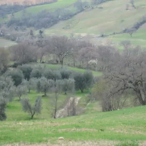 rezervovat zde
